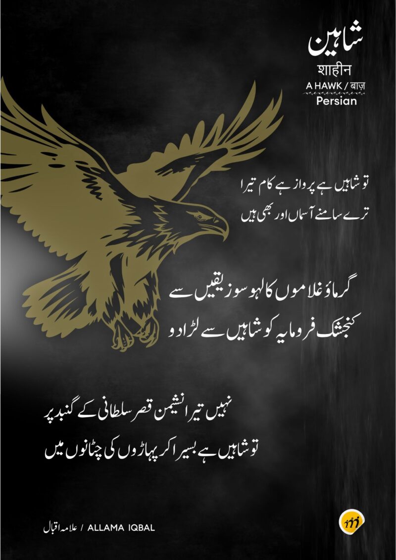 SHAHEEN A3 Wall Poster - Image 2